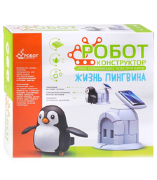 Пингвинчик в коробке