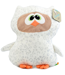 Сова Софтик